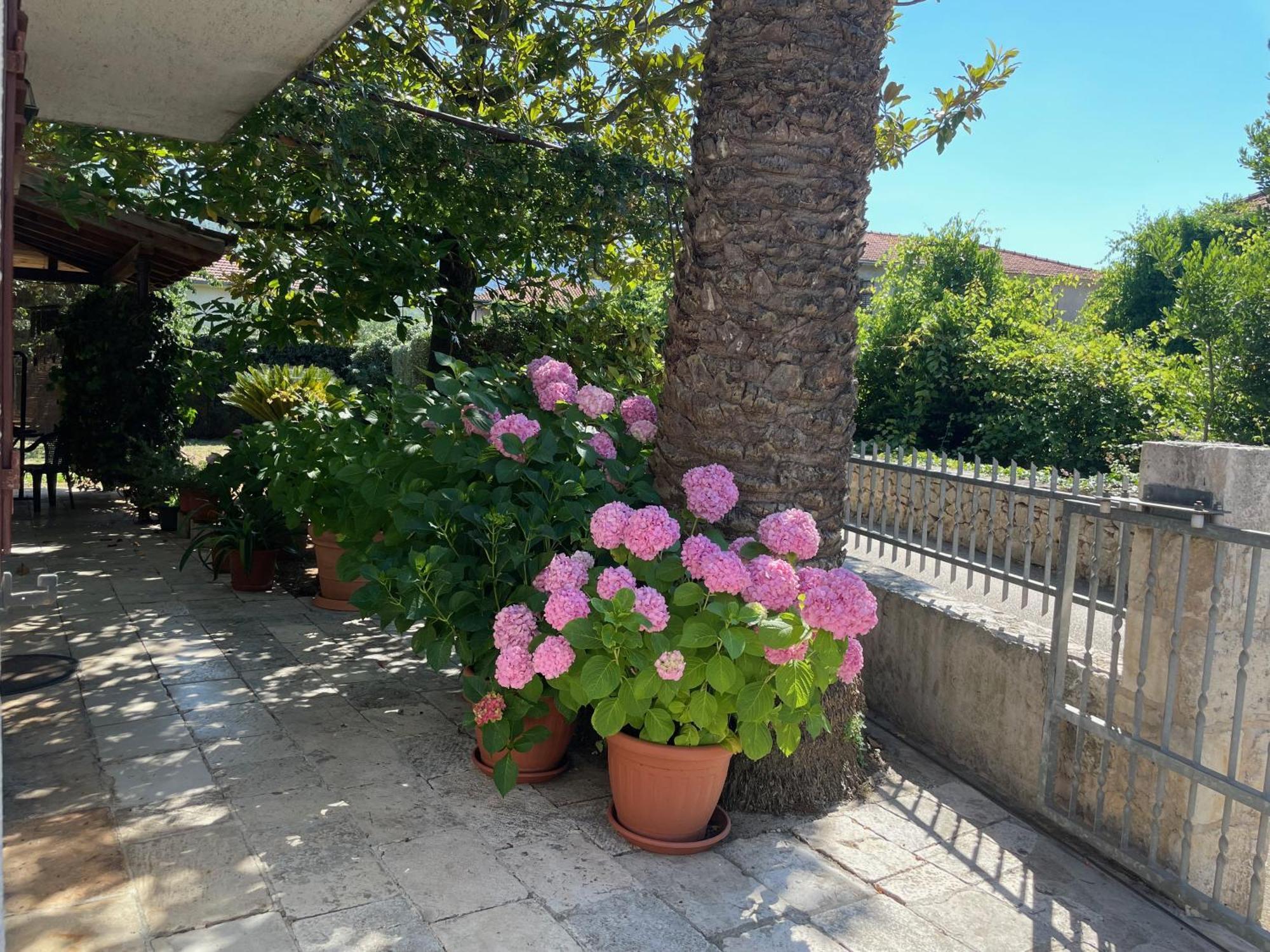 ילסה Hvar Guesthouse - Double Bedroom With Private Bathroom מראה חיצוני תמונה